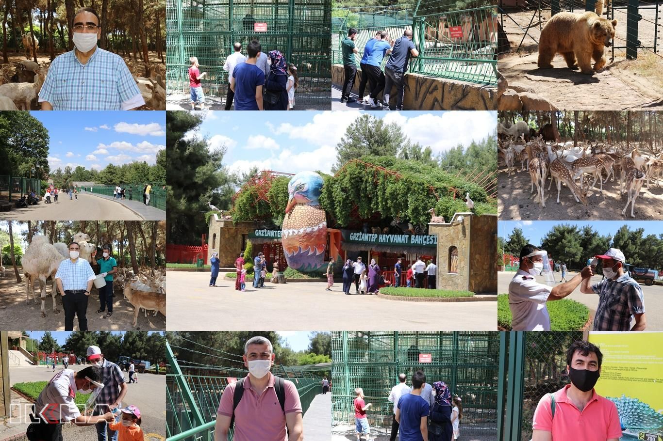 Gaziantep Hayvanat Bahçesi normalleşme süreciyle ziyaretçi akınına uğradı
