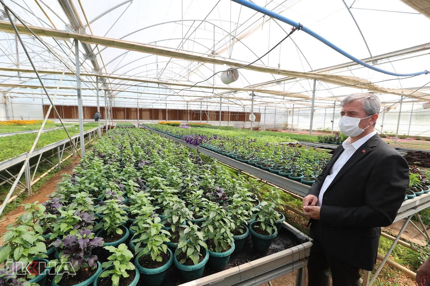 Daha yeşil bir Gaziantep’in oluşturulması hedefleniyor