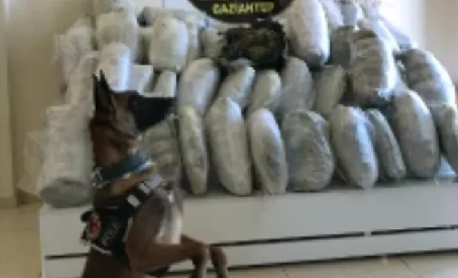 Gaziantep’te 154 kilo esrar ele geçirildi