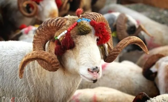 Gaziantep Umut Kervanı hayırseverlere kurban bağışı çağrısında bulundu