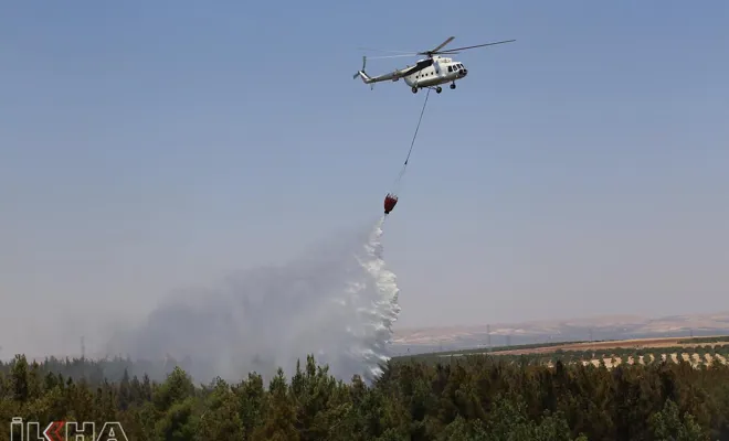 Gaziantep'te orman yangınları
