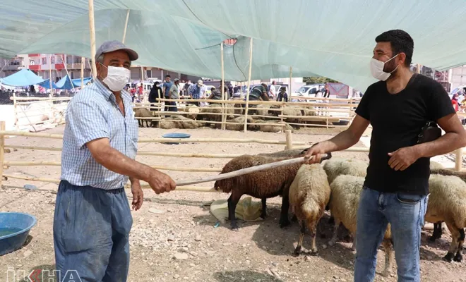 Hayvan pazarlarında kıyasıya pazarlık çoban değnekleriyle yapıldı
