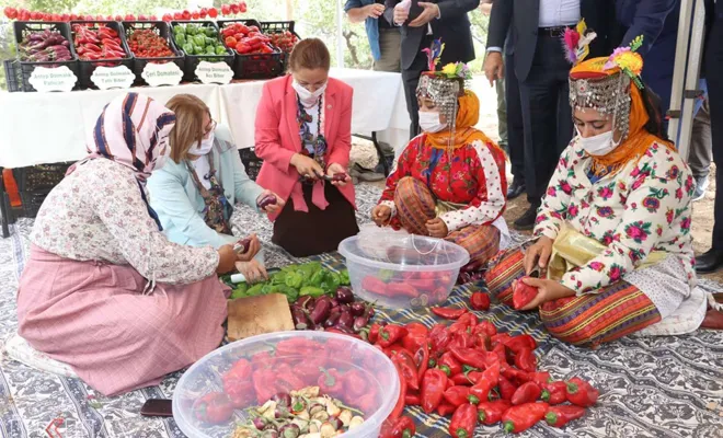 “Uluslararası GastroAntep Festivali” fıstık hasadıyla başladı
