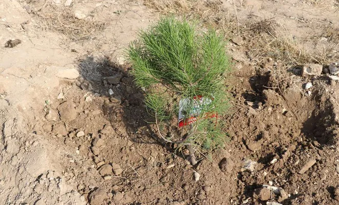 Gaziantep’te fidan dikme kampanyasına destek verildi
