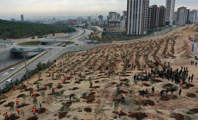 Gaziantep'te fidan dikimi yapıldı