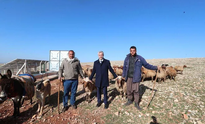 Şahinbey'de hibe desteğiyle hayvancılık gelişiyor