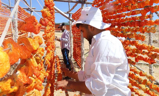 Gaziantep’te kurutmalık sezonu başladı