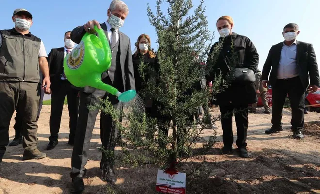 Belediyelerden yanan ormanlar için 97 bin fidan bağışı