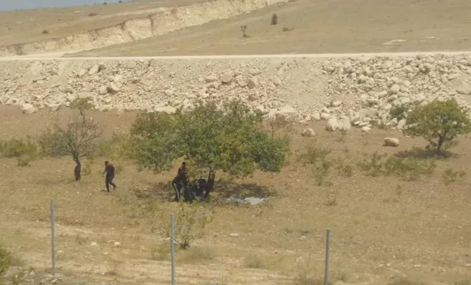 Antep fıstığı çalan hırsızlar suçüstü yakalandı