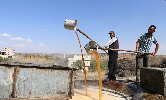 Bir asırdır geleneksel yöntemlerle üzüm pekmezi yapıyorlar