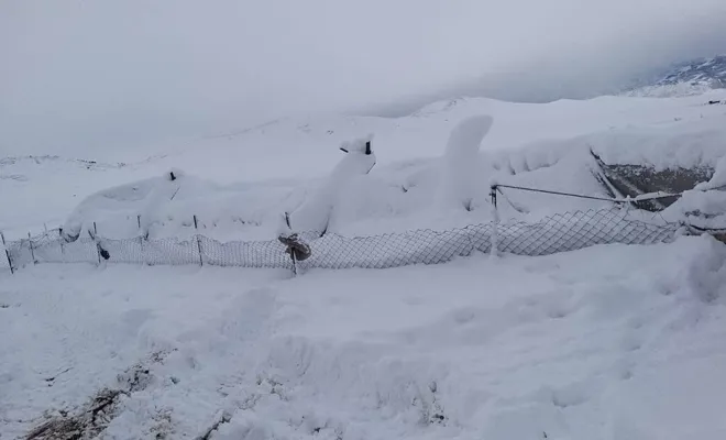 Onlarca küçükbaş hayvan telef oldu