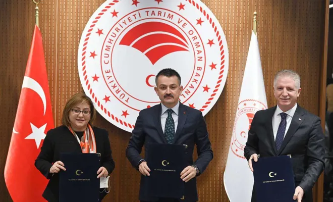 Gaziantep'ten Ortadoğu'ya 163 bin küçükbaş hayvan ihraç edildi