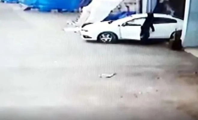 Nizip'te fıstık hırsızlığı kameralara yansıdı