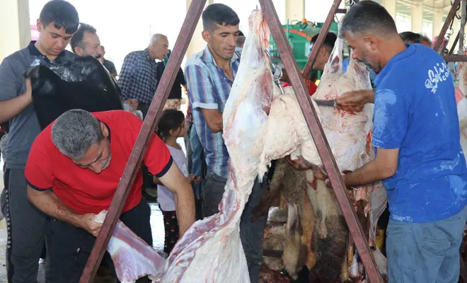 Bayram namazının ardından dualar eşliğinde kurbanlıklar kesildi