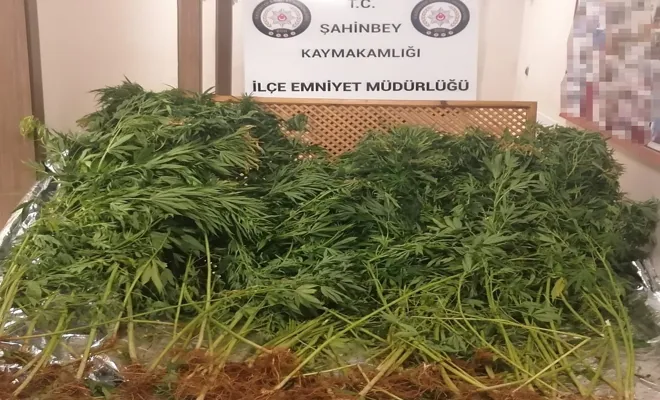 Uyuşturucu operasyonu 