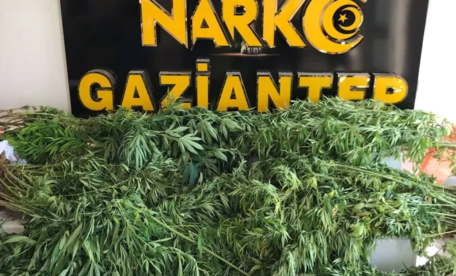 Uyuşturucu operasyonu: 15 gözaltı