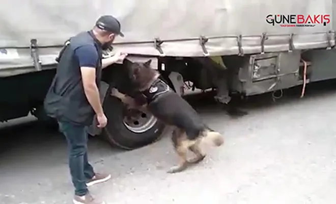 Gümrük kaçağı sigara ele geçirildi