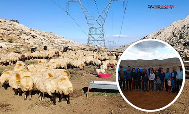 Çobanlar yaylalardan dönüyor