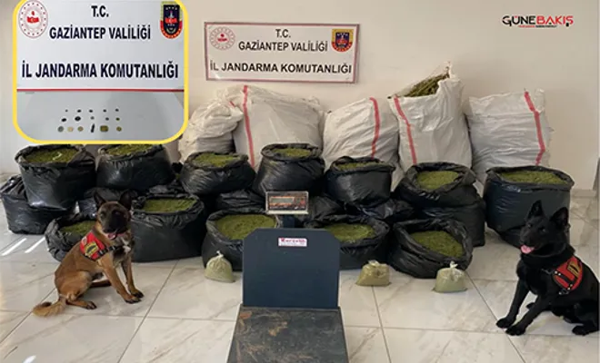 Jandarmadan uyuşturucu ve kaçakçılık operasyonlarında 5 tutuklama