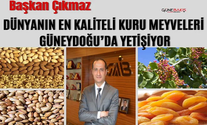 Başkan Çıkmaz 2023 kuru meyve için tanıtım yılı olacak