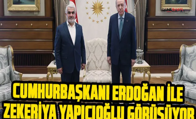 Cumhurbaşkanı Erdoğan ile Zekeriya Yapıcıoğlu görüştü