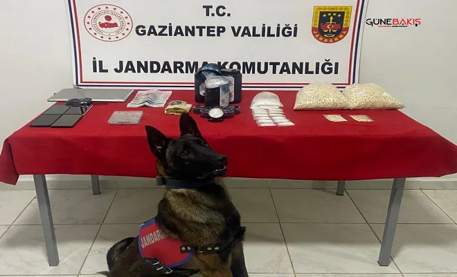 Gaziantep’te Jandarmadan uyuşturucu ve kaçakçılık operasyonu: 1 tutuklama