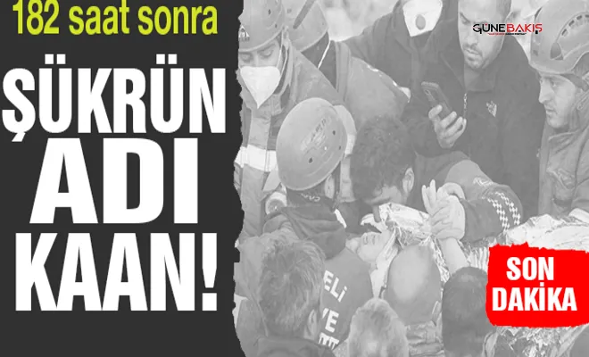 182 saat sonra: Şükrün adı Kaan!