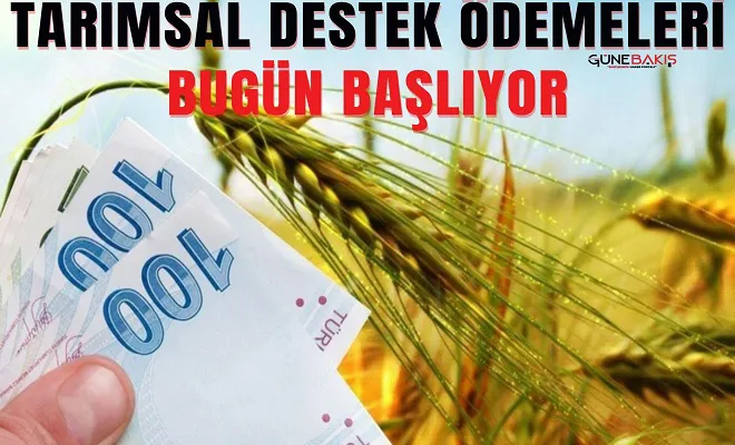 Bakan duyurdu! Ödemeler bugün başlıyor
