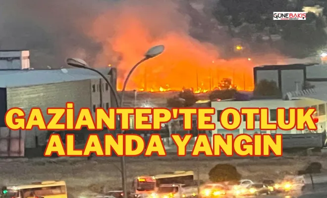 Gaziantep'te otluk alanda yangın