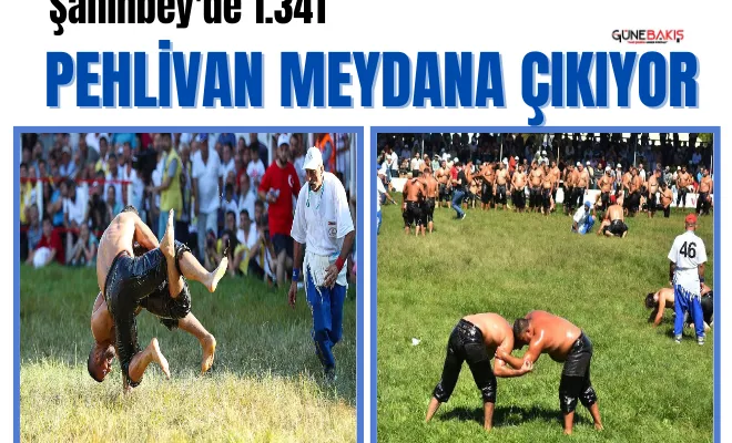 Şahinbey'de 1.341 pehlivan meydana çıkıyor