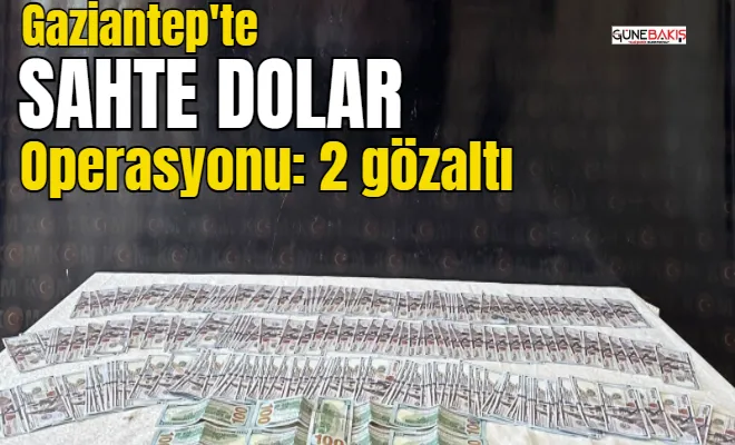 Gaziantep'te sahte dolar operasyonu: 2 gözaltı