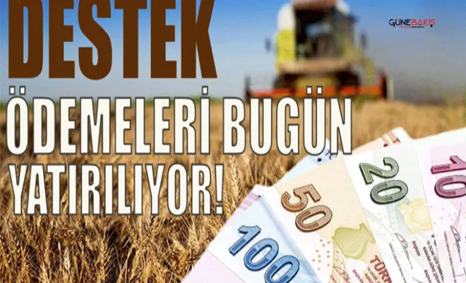 Tarımsal destekleme ödemeleri bugün yatırılıyor!
