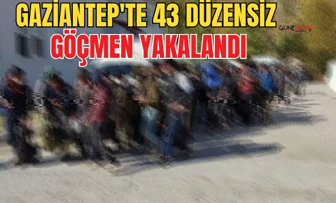 Gaziantep'te 43 düzensiz göçmen yakalandı