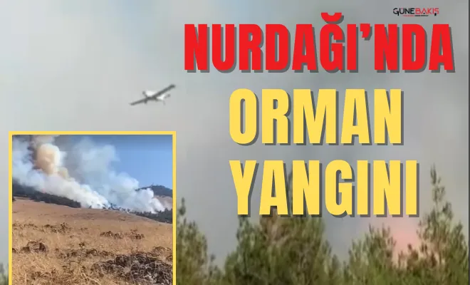 Nurdağı’nda orman yangını 