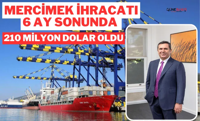 Mercimek ihracatı 6 ay sonunda 210 milyon dolar oldu