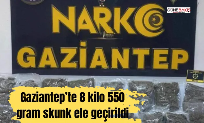 Gaziantep’te 8 kilo 550 gram skunk ele geçirildi