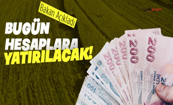 Tarımsal destek ödemeleri bugün hesaplara aktarılıyor