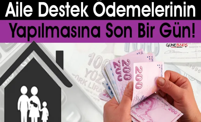 Ağustos ayı aile destek ödemeleri yarın başlıyor