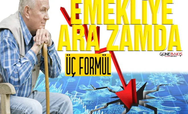 Emekliye ara zamda 3 formül!