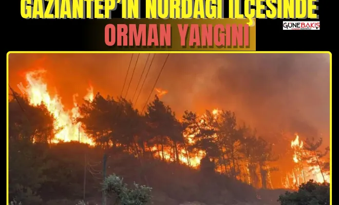 Gaziantep’in Nurdağı ilçesinde çıkan orman yangınına müdahale ediliyor 