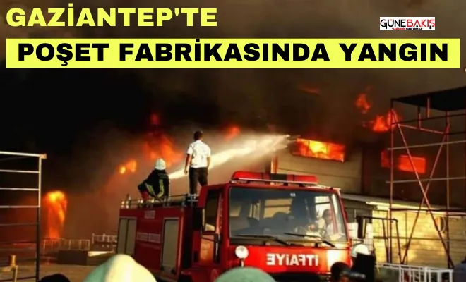 Gaziantep'te poşet fabrikasında yangın