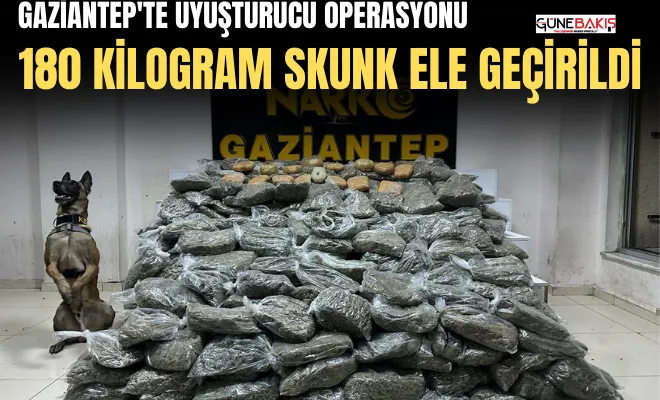 Gaziantep'te uyuşturucu operasyonu: 180 kilogram skunk ele geçirildi
