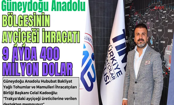 Güneydoğu Anadolu bölgesinin ayçiçeği ihracatı 9 ayda 400 milyon dolar