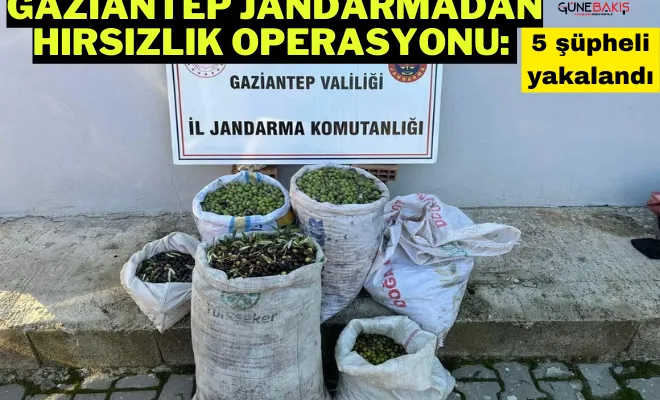 Gaziantep Jandarma’dan hırsızlık operasyonu: 5 şüpheli yakalandı
