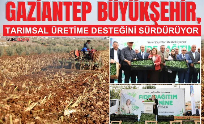 Gaziantep Büyükşehir, tarımsal üretime desteğini sürdürüyor
