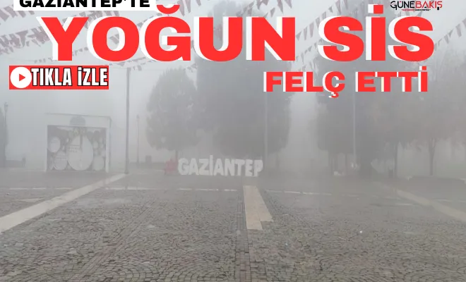 Gaziantep'te yoğun sis hayatı felç etti