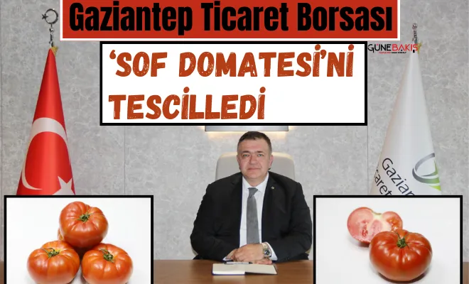 GTB, ‘Sof Domatesi’ni tescilledi