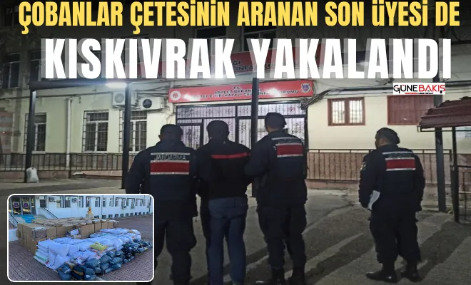 Çobanlar çetesinin aranan son üyesi de kıskıvrak yakalandı 
