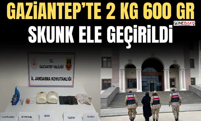 Gaziantep’te 2 kg 600 gr skunk ele geçirildi