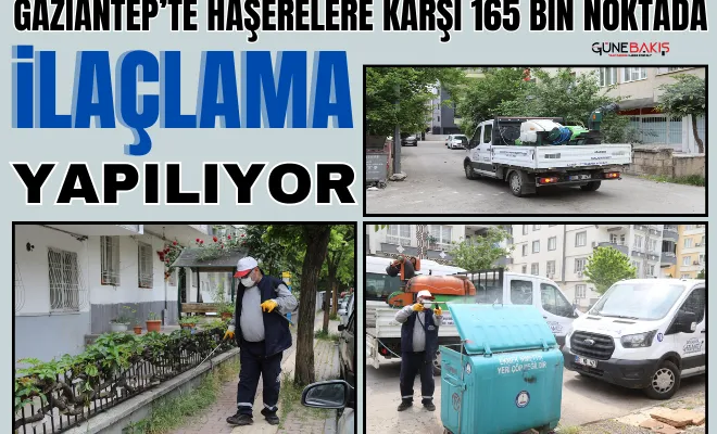 Gaziantep’te haşerelere karşı 165 bin noktada ilaçlama yapılıyor